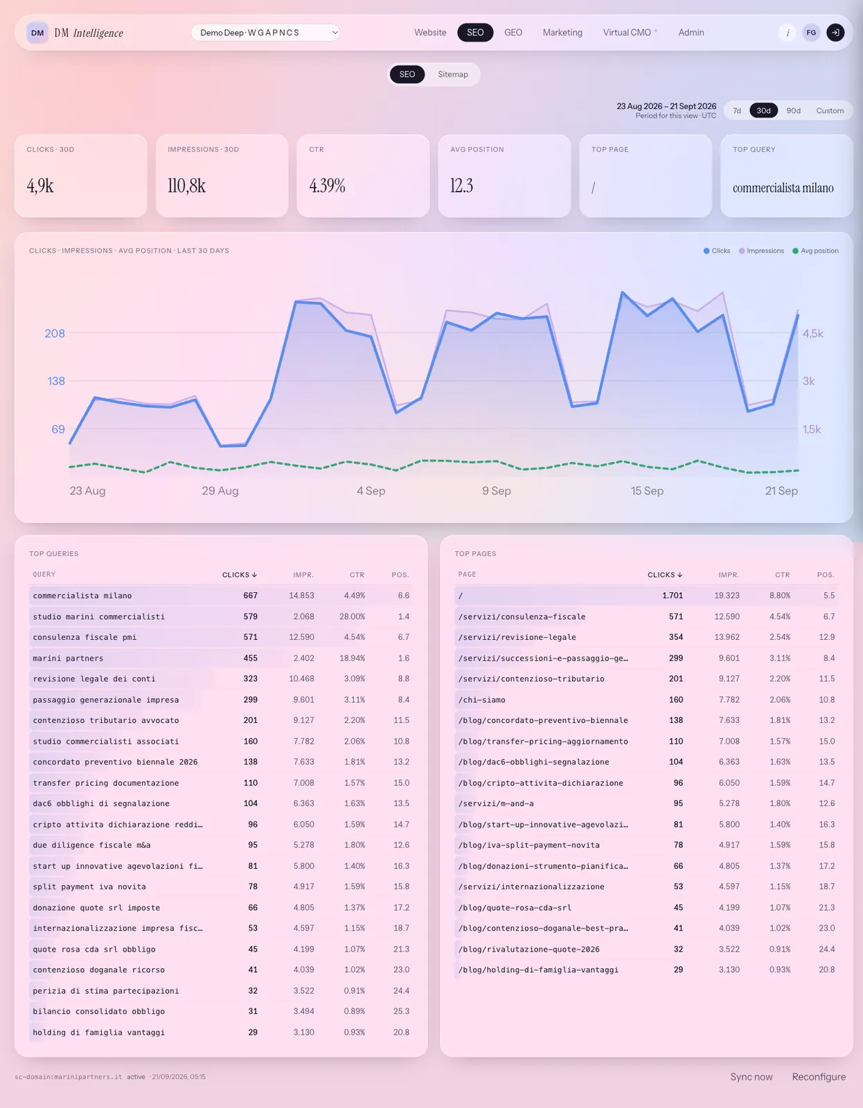 DM Intelligence, La vista SEO