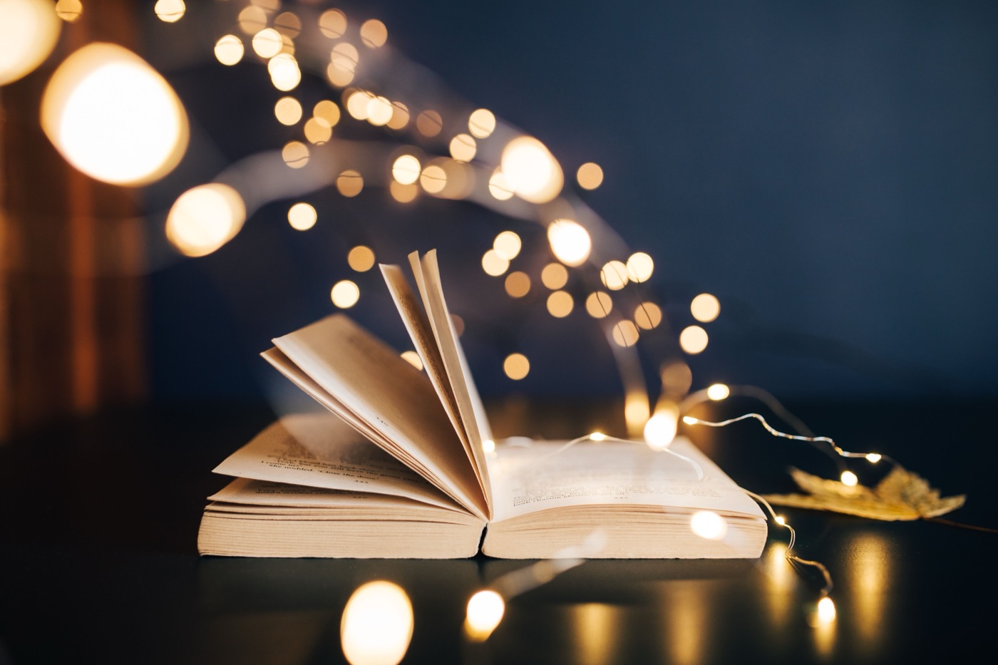 10 Migliori Libri di Brand Management 2026 (con Recensioni)